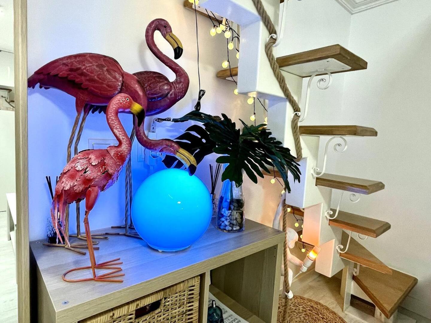 Los Flamencos, Malasana Loft Madrid 45Mq Εξωτερικό φωτογραφία